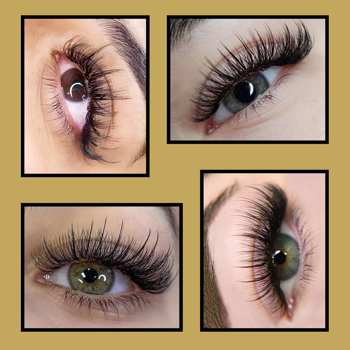 CoMango Wispy Sense Super Soft 5D Flora Fairy Lashes Extension Natural Korean Makeup False Eyelashes Silk Mink Cluster Lashes
