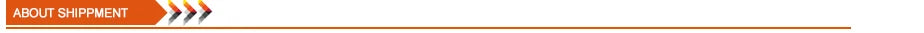 Spring Autumn Baby Suits Girl Vest + Long Sleeve Dresses 2piece Kids Cute Princess Dress Children Chiffon Vestido 2 To10T