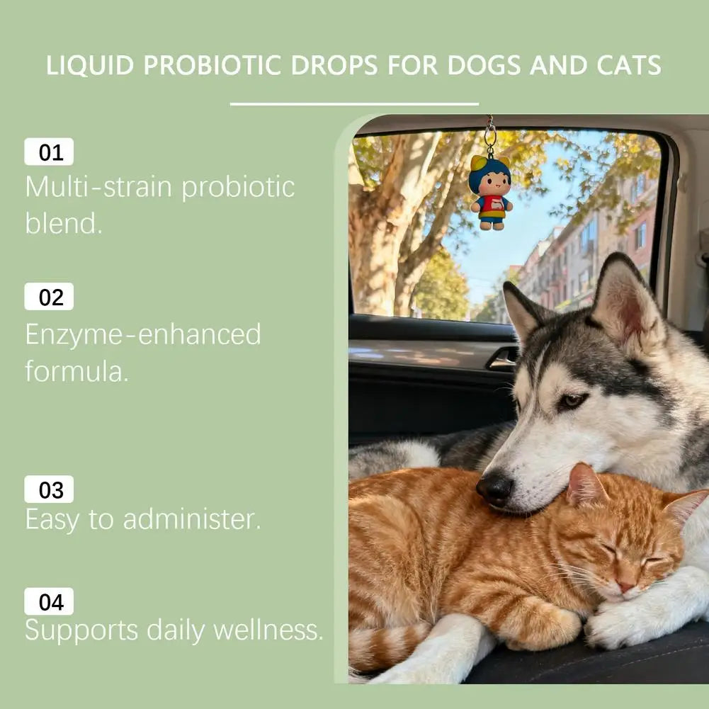 Pet Nutrition Supplement Probiotic Drops Containing Enzymes Used For Dog Cat Digestion And Boosts Immune Daily Health Supplement