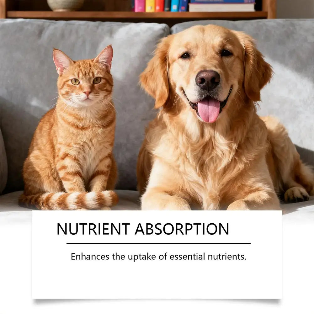 Pet Nutrition Supplement Probiotic Drops Containing Enzymes Used For Dog Cat Digestion And Boosts Immune Daily Health Supplement