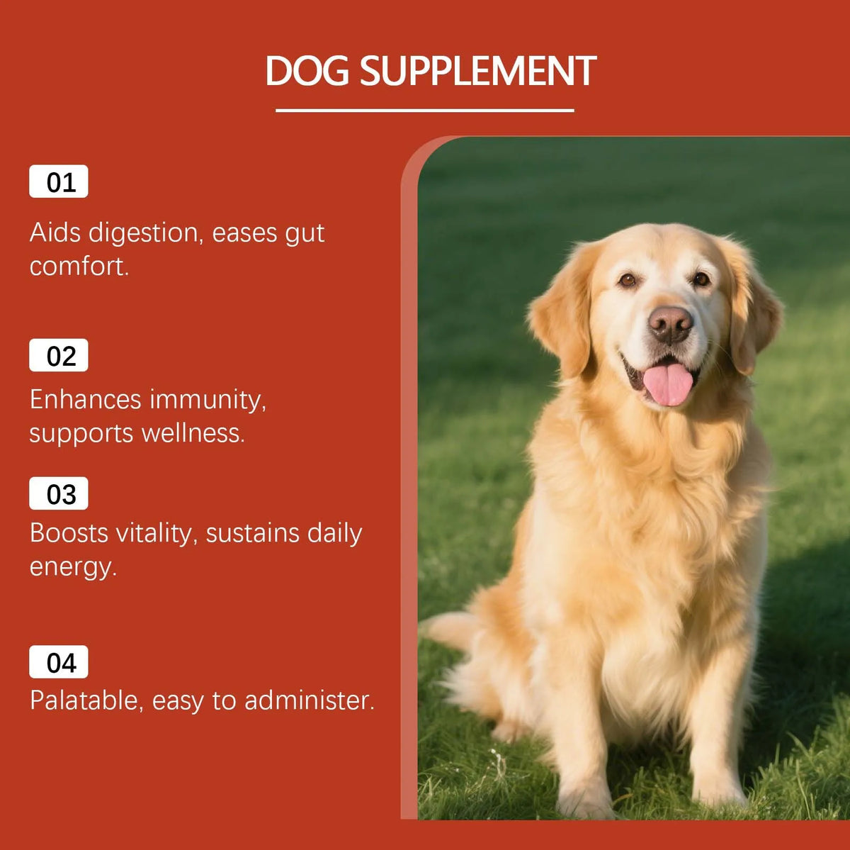 Dog Probiotic Powder Supplement Improve Appetite Promote Gastrointestinal Peristalsis Mild Pet Gut Health Support Particle 100g