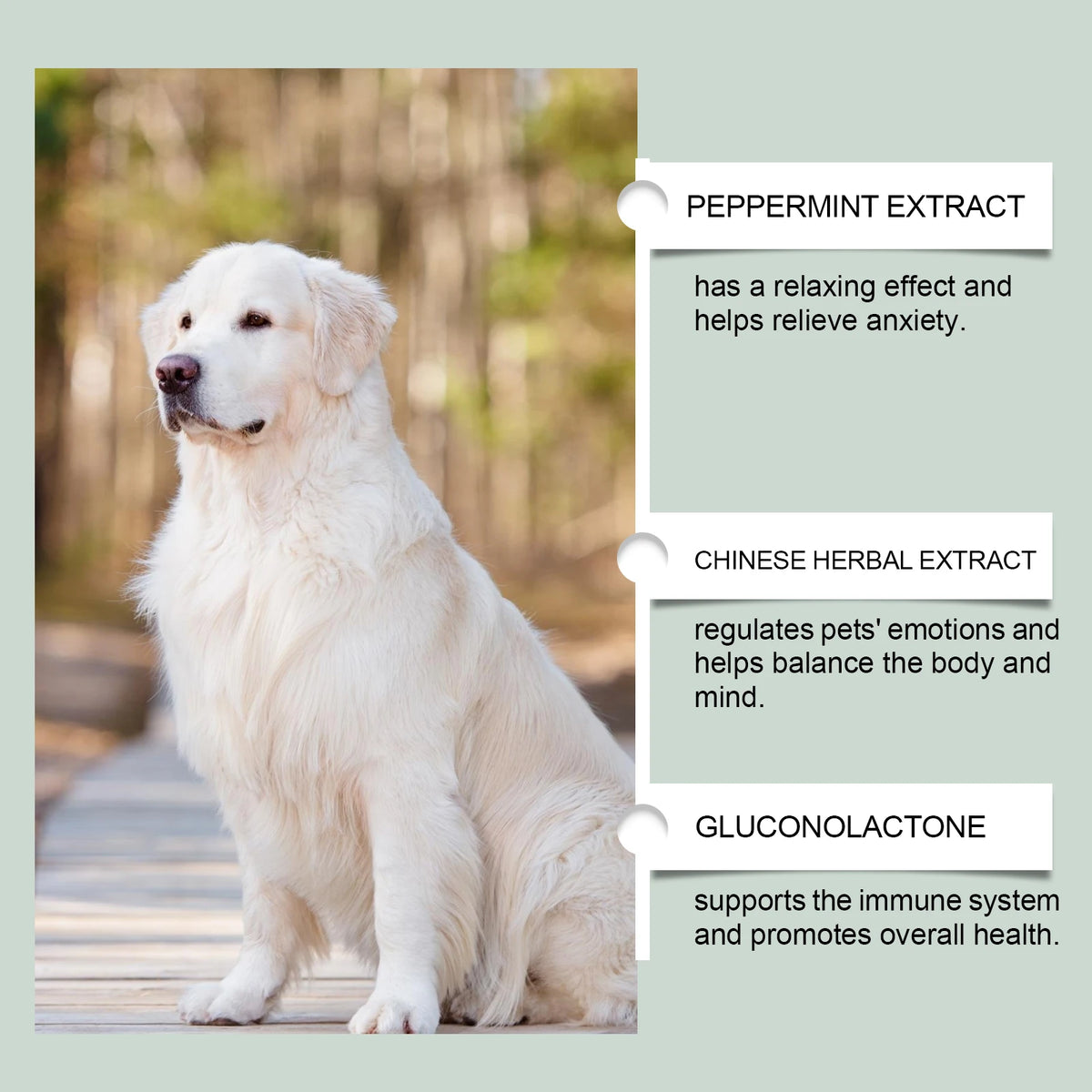 Pet Anxiety-Relief Dietary Supplement Easy to Feed Effectively Relieves Discomfort in Cats Dogs Easily Absorbed Soothing Drops