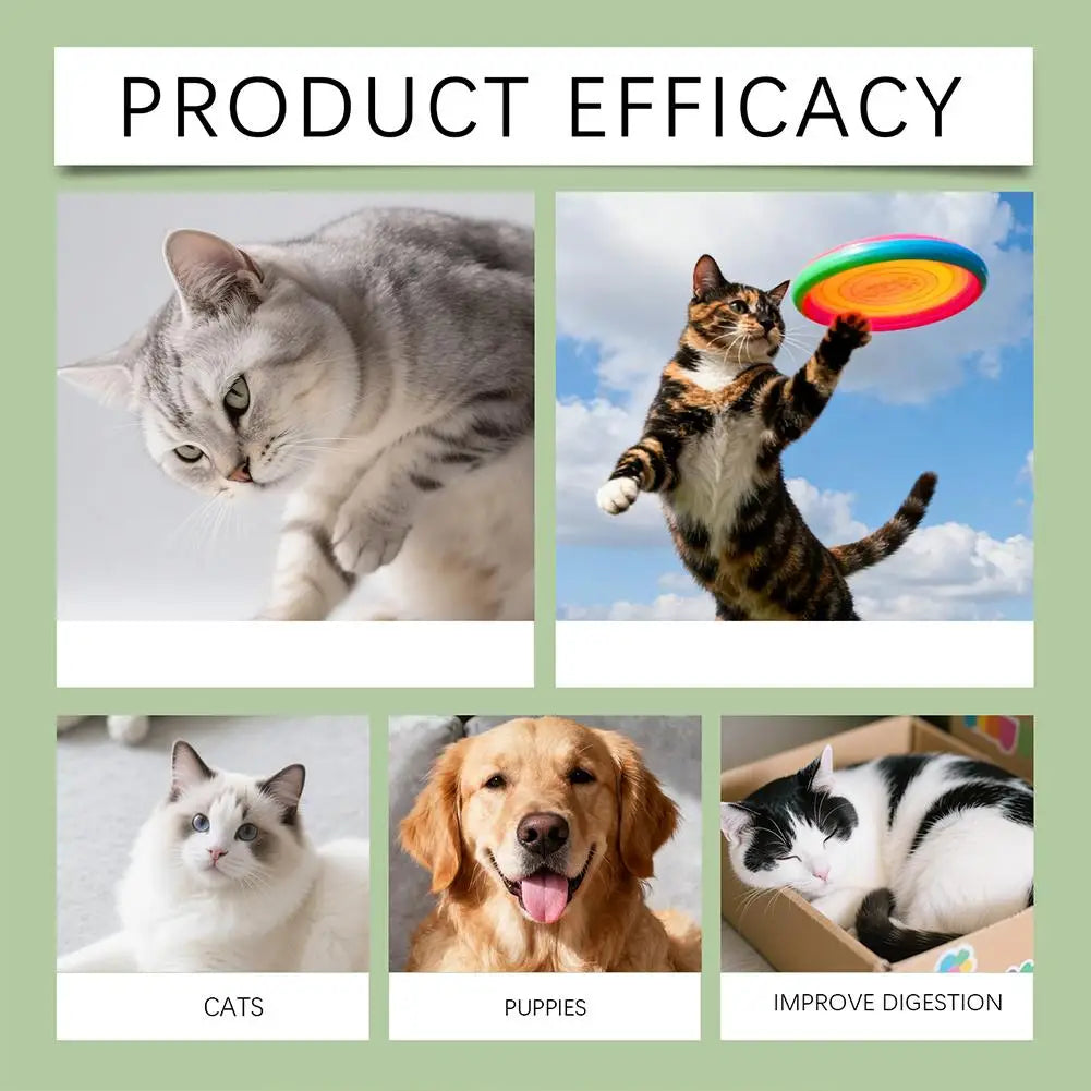 Pet Nutrition Supplement Probiotic Drops Containing Enzymes Used For Dog Cat Digestion And Boosts Immune Daily Health Supplement