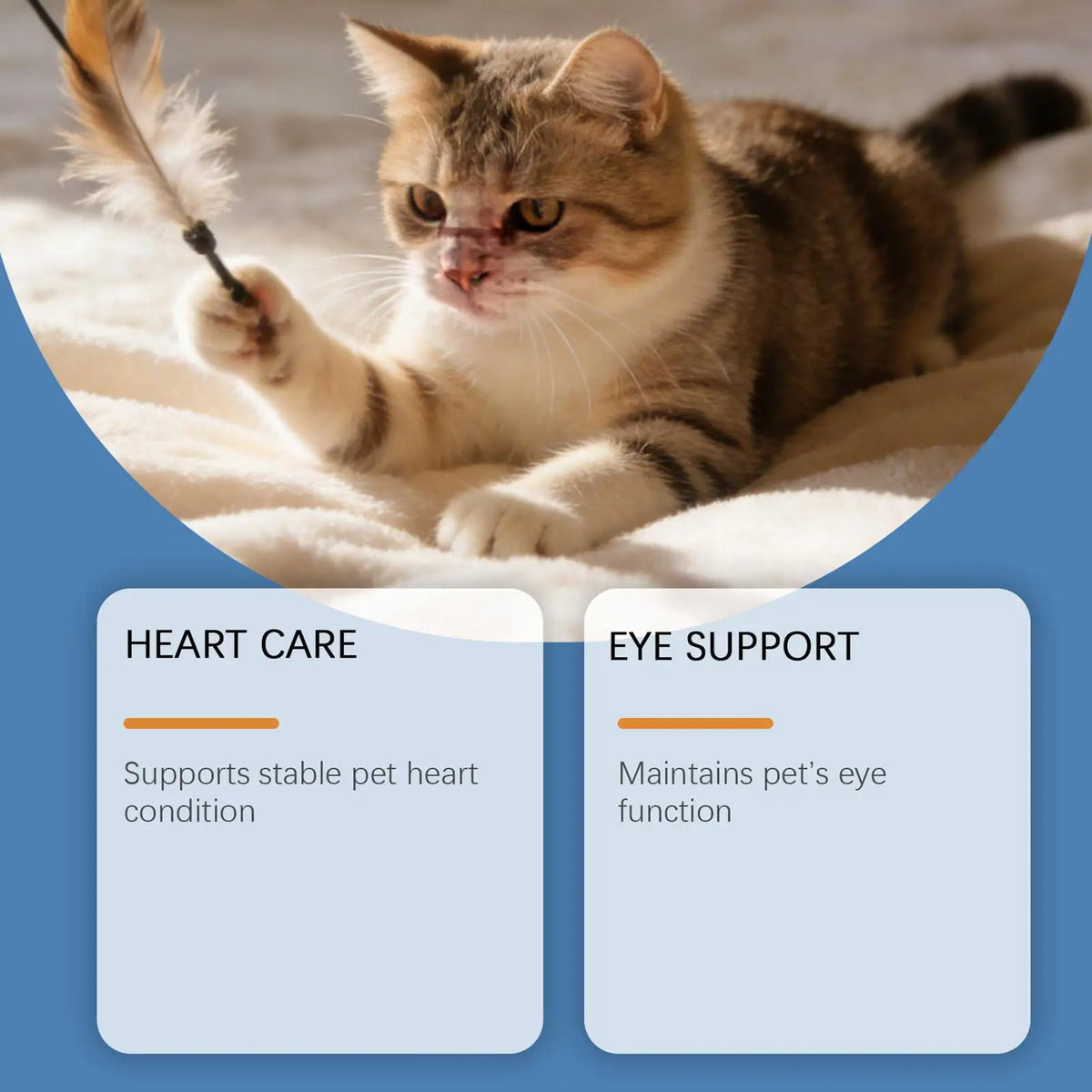 Pet Supplements 200g Daily Nutrition Cats Wet Or Dry Food Supplements for Small Medium Large Breeds Animals Home Travel Shelter