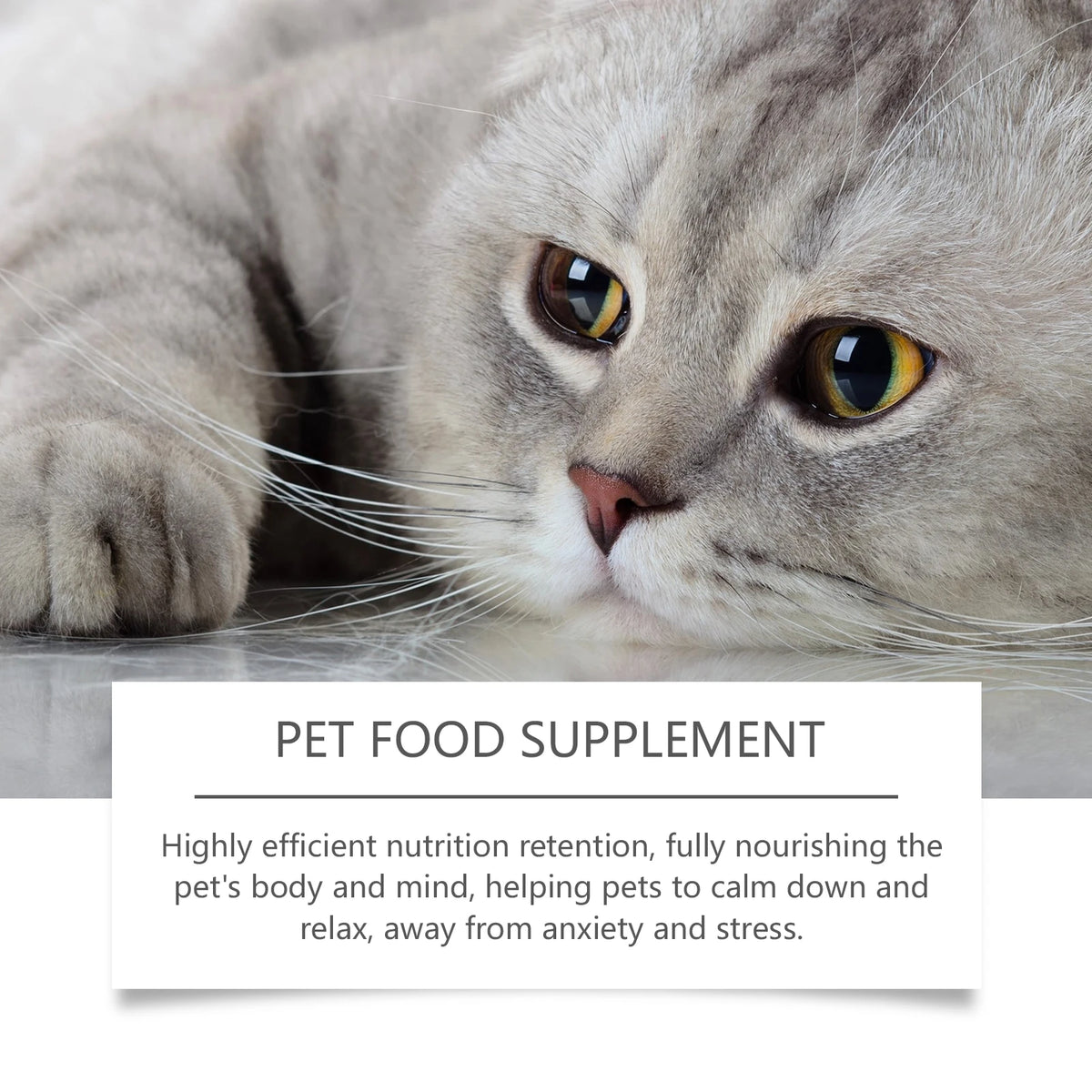 Pet Anxiety-Relief Dietary Supplement Easy to Feed Effectively Relieves Discomfort in Cats Dogs Easily Absorbed Soothing Drops