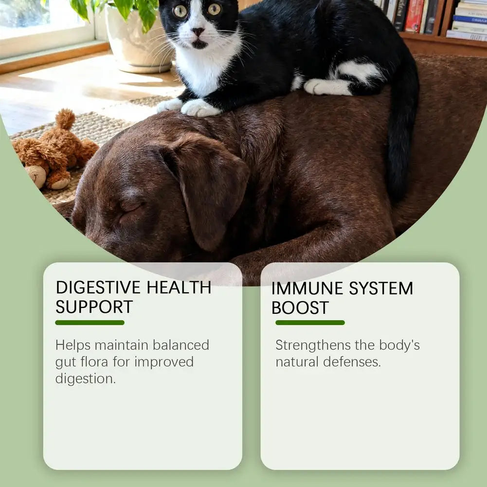 Pet Nutrition Supplement Probiotic Drops Containing Enzymes Used For Dog Cat Digestion And Boosts Immune Daily Health Supplement